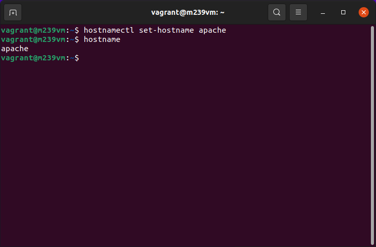Bild Hostname Config VM1