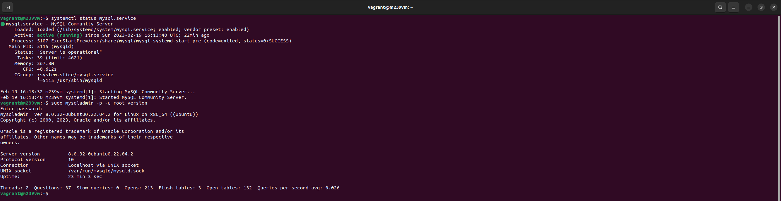 MySQL Status